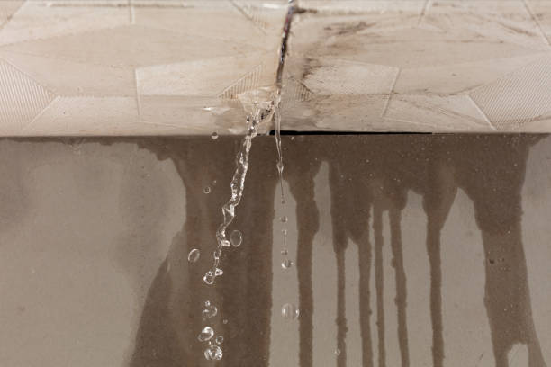 Professional Water Damage Repair technician working in Bethlehem, WV